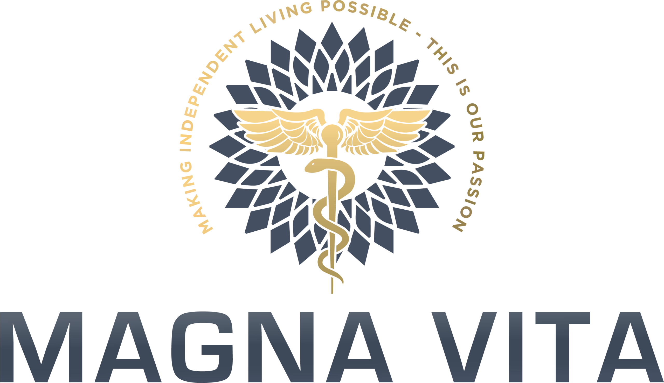 MagnaVita_Gold The best home care agencies in Minnesota are by Magna Vita